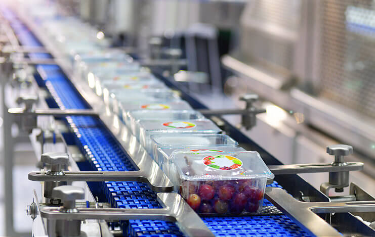 Material Handling Conveyor Protection Systems: Grapes going down a conveyor